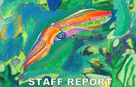 Final Staff Report